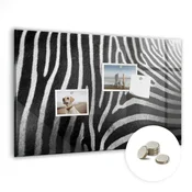 tulup.si Magnetna tabla za risanje Zebrast vzorec 90x60 cm
