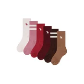 Abercrombie & Fitch Nogavice kremna / rjava / karamel / temno rjava / staro roza / rdeča