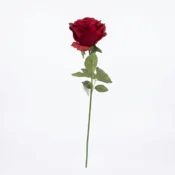 Umetna vrtnica rdeča 50 cm real touch - rdeča - 25 do 50 cm