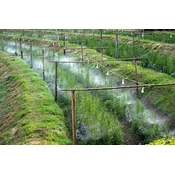 GEKO Vrtni škropilnik – vodna meglica zavesa 10m 2