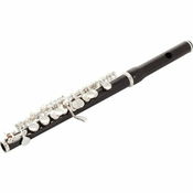 Pikolo flavta JPC1100E Jupiter