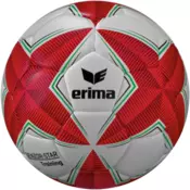 Erima Žoga Erima -Star Training Ball