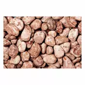 Granulati Zandobbio ukrasni oblutci Rosso Verona 15-25 mm, crveni, 25 kg