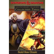 Forgotten Realms: The Archives - Collection Three Steam (PC) Key GLOBAL