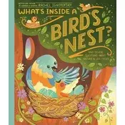 Whats Inside a Birds Nest?