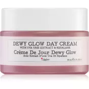 theBalm Posvetlitvena dnevna krema To The Rescue (Dewy Glow Day Cream) 30 ml