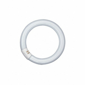 OSRAM L22W-865 C G10Q