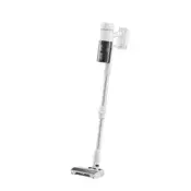 Roborock H60