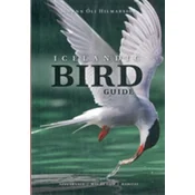 Icelandic Bird Guide: Appearance, Way of Life, Habitat