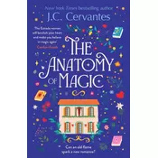 The Anatomy of Magic