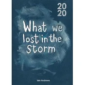 What We Lost In The Storm