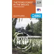Thetford Forest in the Brecks