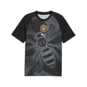 PUMA Manchester City Warmup Jersey Men, Sport, Black/Archive Gold, M