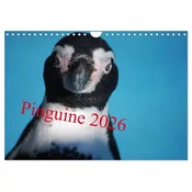 Pinguine 2026 (Wandkalender 2026 DIN A4 quer), CALVENDO Monatskalender