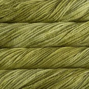Malabrigo Chunky Lettuce Pletilna preja