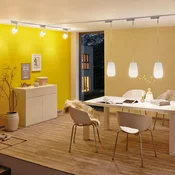 LED-žarnica Paulmann, cevasta, E27, 5,5 W, 2700 K, satinirana, z možnostjo