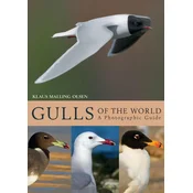 Gulls of the World