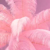 KARE Talna svetilka Feather Palm s perjem, roza - Dnevna soba/jedilnica - Dizajn - roza, medenina - Kovina