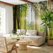 Foto tapeta - Forest Tales 350x256 Standard