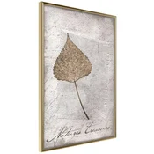 Poster - Dried Leaf 20x30