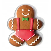 Blazina GINGERBREAD MR. BOŽIČNI PIŠKOT Blazina z medenjaki