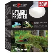 REPTI PLANET Dnevna matirana žarnica 50 W