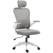 Homestar Ergonomski pisarniški stol z zložljivimi nasloni za roke nastavljivo ledveno oporo siv