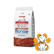 Monge Mini