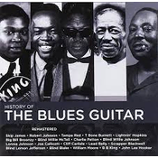 Various Artists - Hall Of Fame - History Of The Blues Guitar