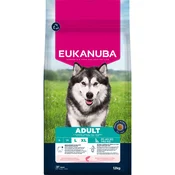 Eukanuba Premium Nutrition Adult Large & Giant Breed losos - 2 x 12 kg