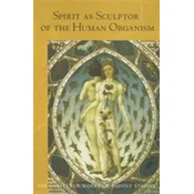 Spirit as Sculptor of the Human Organism