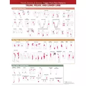 Travell, Simons & Simons Trigger Point Pain Patterns Wall Chart