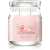 Yankee Candle Svíčka ve skleněné dóze , Čerstvě nařezané růže, 368 g