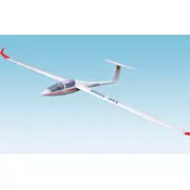 DG-1000 Glider
