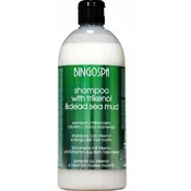 BINGOSPA Šampon proti prhljaju s trikenolom in blatom Mrtvega morja 500 ml