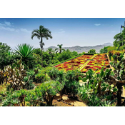 Ravensburger Puzzle Magic gardens: Botanični vrt, Madeira 1000 kosov