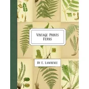 Vintage Prints: Ferns