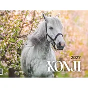 KOLEDAR KONJI 2027, EG