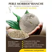 PERLE MORBIDE - BELE 4 kg