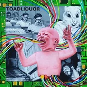 Toadliquor - Back In The Hole (Orange Coloured) (LP)