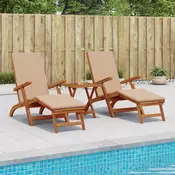 vidaXL Zložljiv in nagibni ležalnik 2 pcs 55 x 146 x 91 cm