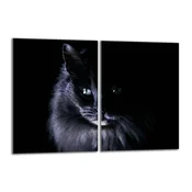 shumee Steklena zaščitna plošča za štedilnik 2x40x52 Cat