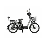 E Motion Elektricni bicikl Skocko, 22, Sivi