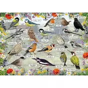 Gibsons - Puzzle Blažene ptice - 1 000 kosov