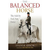 Balanced Horse