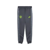 PUMA Manchester City KING Anthem Pants Men, Sport, Galactic Gray/Pro Green, XL
