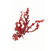 Lilium buket crvene bobice 1x5,25cm 585836