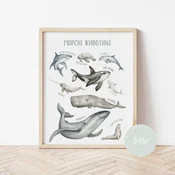 Its a moms world Edukativni poster za decu sa ramom Morske životinje A3