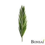 Naravna palmina veja stabilizirana 120 cm - zelena - 101 do 150 cm