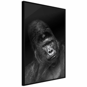 Poster - Intelligent Gaze 20x30